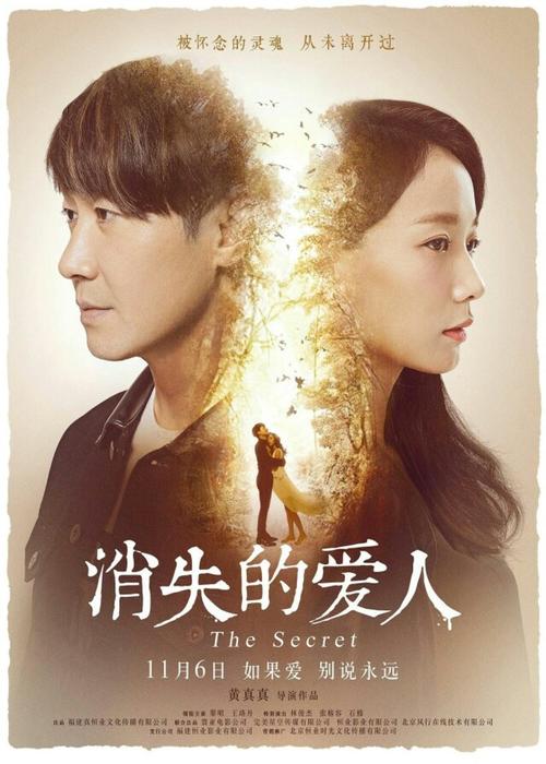 一比一仿史蒂文森大学文凭毕业证